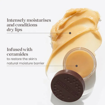 Burt's Bees Intensive Overnight Lip Treatment